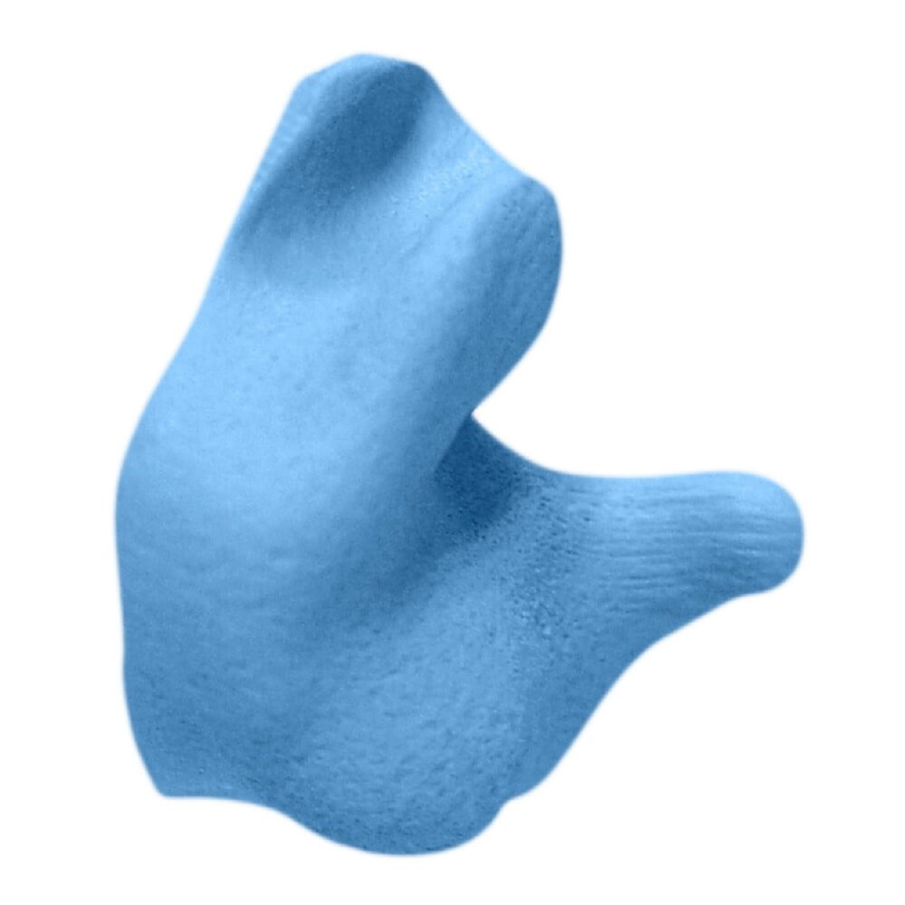 Radians Custom Molded Earplugs, Blue (CEP001-B), product photo 1 of 3