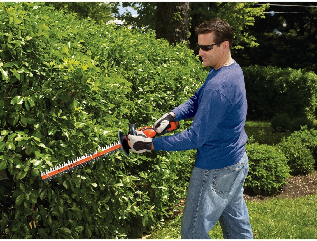 BLACK+DECKER LHT2436, product photo 2 of 3